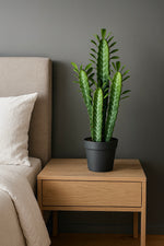 Cactus Decorativo 60 cm