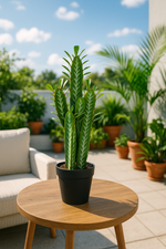Cactus Decorativo 60 cm