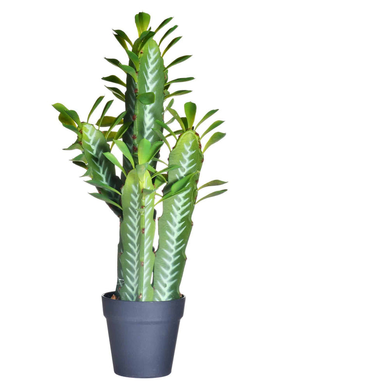 Cactus Decorativo 60 cm - Fokus Home